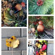 Photo by Корица1970