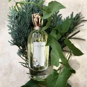 Annick Goutal Paris Bois d'Hadrien Eau de Parfum 100 ml – My Dr. XM