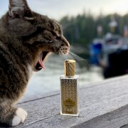 Siwa Memo Paris perfume - a fragrance for women 2007