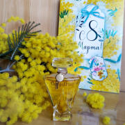 Photo by Lady Winter