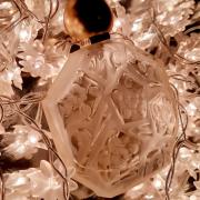 Photo by Poison Girl