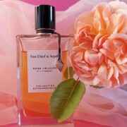 Rose Velours Van Cleef & Arpels аромат - аромат для жінок 2013