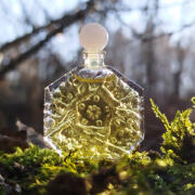 Photo by Loyshamarina