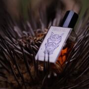 Photo by tatagaldino