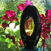 paloma picasso fragrantica