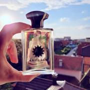 Portrayal Man Amouage cologne - a fragrance for men 2019 Portrayal Man Amouage cologne - a fragrance for men 2019