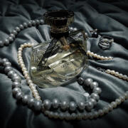 Mon Jasmin Noir Bvlgari perfume - a fragrance for women 2011