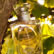 Les Creations de Monsieur Dior Forever and Ever Dior perfume