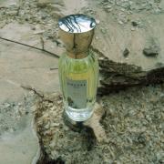 Annick Goutal Paris Bois d'Hadrien Eau de Parfum 100 ml – My Dr. XM