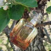 香水(ユニセックス) HERMES UN JARDIN SUR LA LAGUNE 30ml Un Jardin Sur La Lagune Hermès perfume - a fragrance for