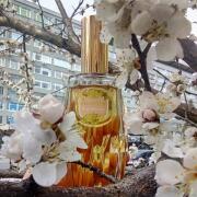 Photo by renovod_femme