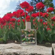 Poom Poom Maison Matine perfume - a fragrance for women and