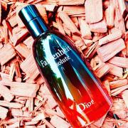 Dior Fahrenheit Absolute Review: Better Than the Original?