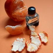 Photo by симонетта веспуччи