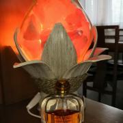 sun di gioia fragrantica
