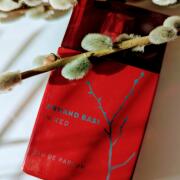 Photo by Svetlana_Yustus