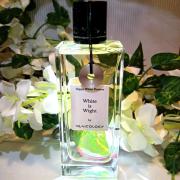 Photo by Golden green 2