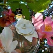 香水(女性用) valentino Valentina Acqua Floreale 50ml Valentina Acqua Floreale Perfume for Women by Valentino