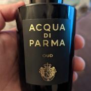 Oud Eau de Parfum Acqua di Parma perfume - a fragrance for women and men  2019