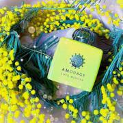 Photo by Ольга_879