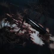 Photo by Engel desTodes