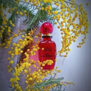 VivienneWestwood ヴィヴィアン　アングロマニア　EDP 50ml Anglomania Vivienne Westwood perfume - a fragrance for women