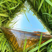 Photo by Pollypocket82