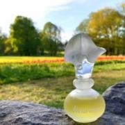 Photo by Juliette has a gun