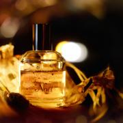 Fruits de Noel Orange & Chocolat Yves Rocher perfume - a fragrance for ...