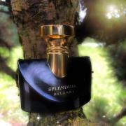 Photo by misia.skrzypek