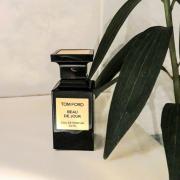 Beau de Jour Tom Ford cologne - a new fragrance for men 2019