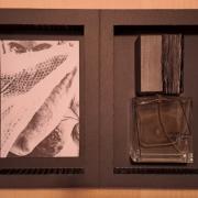 Photo by Slava Goodman