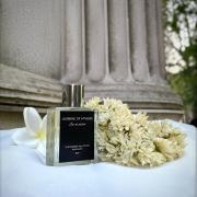 Photo by Alex Guerra Terra