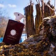 Photo by SeventhCrow