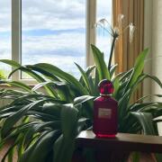 Photo by Cleverwoman