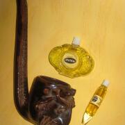 Photo by Vibia Sabina