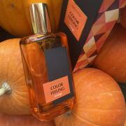 Photo by Сестричка Лисичка