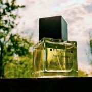 Rive Gauche 2003 by Yves Saint Laurent » Reviews & Perfume Facts