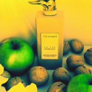 Limitless Shopping Via della Spiga Trussardi perfume - a fragrance for ...