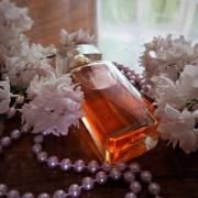SpellBound Estée Lauder perfume - a fragrance for women 2014