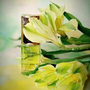 Photo by ЮлияЛето