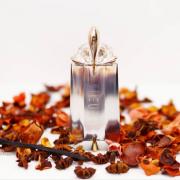 Alien Musc Mysterieux Mugler perfume - a fragrance for women 2017