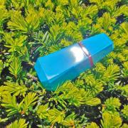 lou lou fragrantica