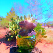 Photo by Abby Normal