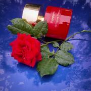 Photo by fabrice1977