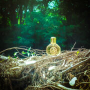 Royal Eagle Gold Stefano Ricci cologne - a fragrance for men