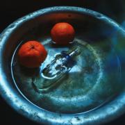 Photo by vitkovskaya