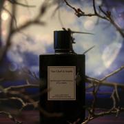 moonlight patchouli eau de parfum