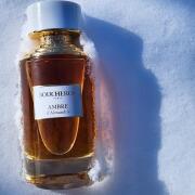 Photo by SPACE*KITTEN