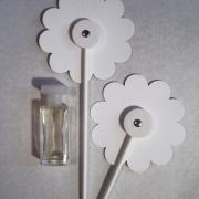 Photo by Engel desTodes